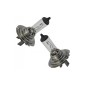Neolux Halogen Headlamp Bulb SILVERSTAR 2.0 N499EL-2SCB H7 12V 55W carton box (1 unit)