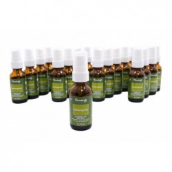 Paradise Air Fresh Atomizeris Alyvos oro gaivinimo purškalas 25 ml citrinžolės 25 vienetų aromato difuzorius