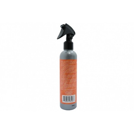 „Paradise Fresh Air Spray“ oro gaiviklis, pašalinantis kvapą iš salos