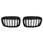 Central Kidney Grilles suitable for BMW X1 SUV F48 Pre-LCI (06.2015-2019) Double Stripe M Design Piano Black